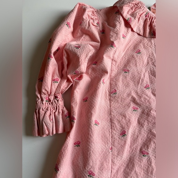 Fraisinette Halloween Costume - Picture 3 of 3